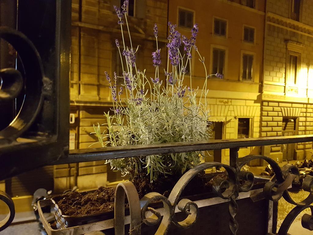 Loft Pantheon Villa Roma Dış mekan fotoğraf